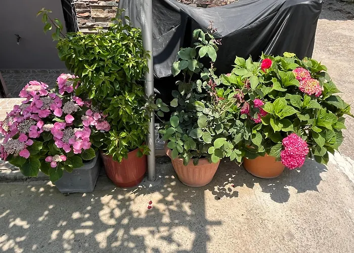 Pandeklare Apartment *